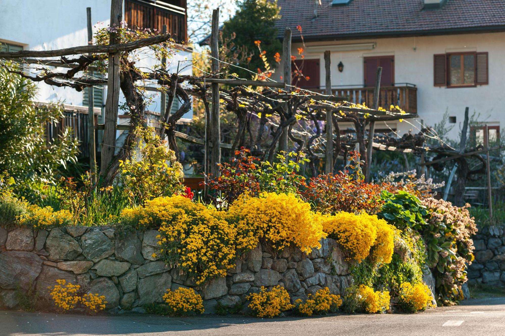 Ferienwohnungen St Hippolyt Mit Hallenbad Lagundo Kültér fotó